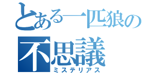 とある一匹狼の不思議（ミステリアス）