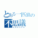 とある一匹狼の不思議（ミステリアス）