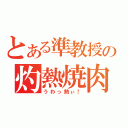 とある準教授の灼熱焼肉（うわっ熱ぃ！）