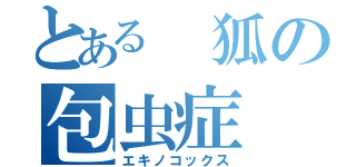 とある　狐の包虫症（エキノコックス）