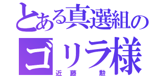 とある真選組のゴリラ様（近藤 勲）