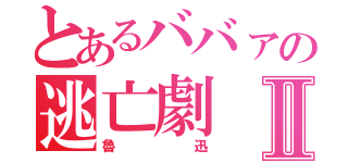 とあるババァの逃亡劇Ⅱ（魯迅）