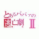 とあるババァの逃亡劇Ⅱ（魯迅）