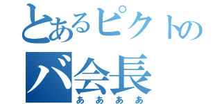 とあるピクトのバ会長（ああああ）