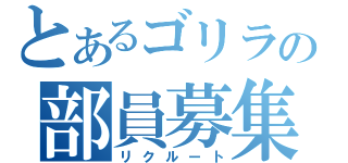 とあるゴリラの部員募集（リクルート）