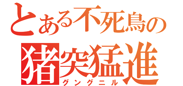 とある不死鳥の猪突猛進（グングニル）