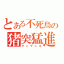 とある不死鳥の猪突猛進（グングニル）