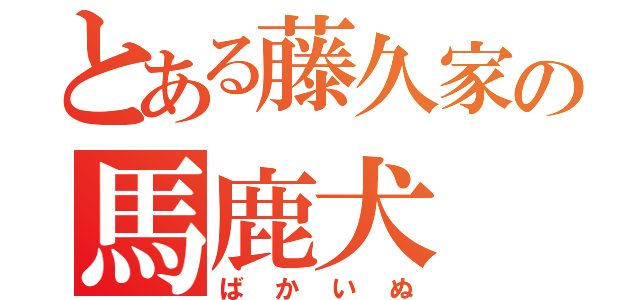 とある藤久家の馬鹿犬（ばかいぬ）