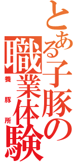 とある子豚の職業体験（養豚所）