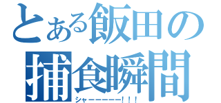 とある飯田の捕食瞬間（シャーーーーー！！！）