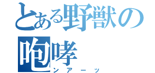 とある野獣の咆哮（ンアーッ）