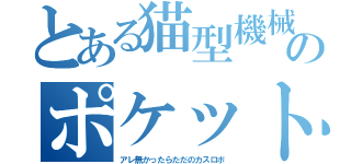 とある猫型機械のポケット（アレ無かったらただのカスロボ）