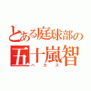 とある庭球部の五十嵐智彦（ハカス）