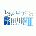 とあるロリゲイ変態レズ野郎の宇田川響Ⅱ（変態がっ‼）