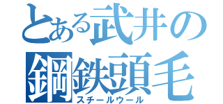 とある武井の鋼鉄頭毛（スチールウール）