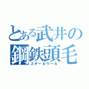 とある武井の鋼鉄頭毛（スチールウール）