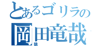 とあるゴリラの岡田竜哉（猿）