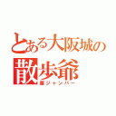 とある大阪城の散歩爺（腰ジャンパー）