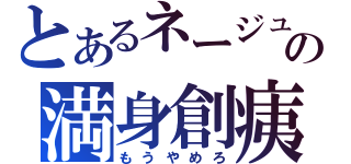 とあるネージュの満身創痍（もうやめろ）