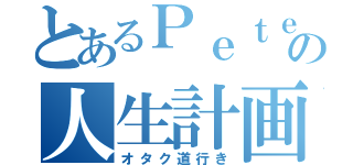 とあるＰｅｔｅｎの人生計画（オタク道行き）