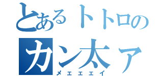 とあるトトロのカン太ァ（メェェェイ）