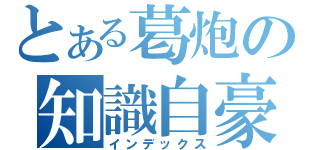 とある葛炮の知識自豪（インデックス）