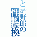 とある野郎の性別転換（リリカル・マジカル）