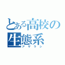 とある高校の生態系（アザラシ）