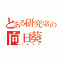 とある研究室の向日葵（ミチヤマ）