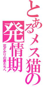 とあるメス猫の発情期（花ざかりの君たちへ）