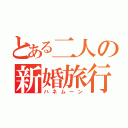 とある二人の新婚旅行（ハネムーン）