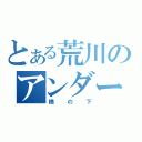 とある荒川のアンダーザブリッジ（橋の下）