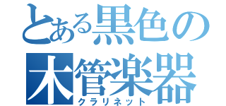 とある黒色の木管楽器（クラリネット）