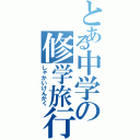 とある中学の修学旅行（しゃかいけんがく）