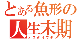 とある魚形の人生末期（オワタオワタ）