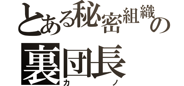 とある秘密組織の裏団長（カノ）