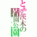 とある茨木の若園公園（バラ園）