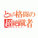 とある格闘の超絶蹴者（サワムラー）