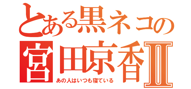 とある黒ネコの宮田京香Ⅱ（あの人はいつも寝ている）