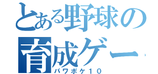 とある野球の育成ゲーム（パワポケ１０）