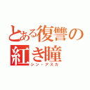 とある復讐の紅き瞳（シン・アスカ）