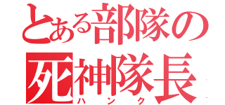 とある部隊の死神隊長（ハンク）