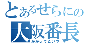 とあるせらにの大阪番長（かかってこいや）