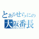 とあるせらにの大阪番長（かかってこいや）