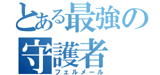 とある最強の守護者（フェルメール）