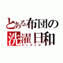 とある布団の洗濯日和（サンデイズ）