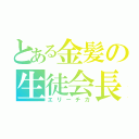 とある金髪の生徒会長（エリーチカ）