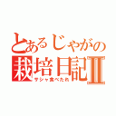 とあるじゃがの栽培日記Ⅱ（サシャ食べたれ）