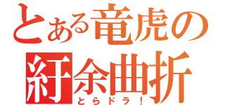 とある竜虎の紆余曲折（とらドラ！）