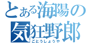 とある海陽の気狂野郎（ごとうしょうや）